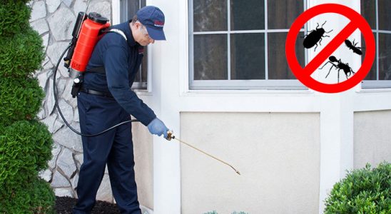 Sarıçam Akrep İlaçlama böcek ilaçlama ve haşere kontrolü — ilaclama-tr.com